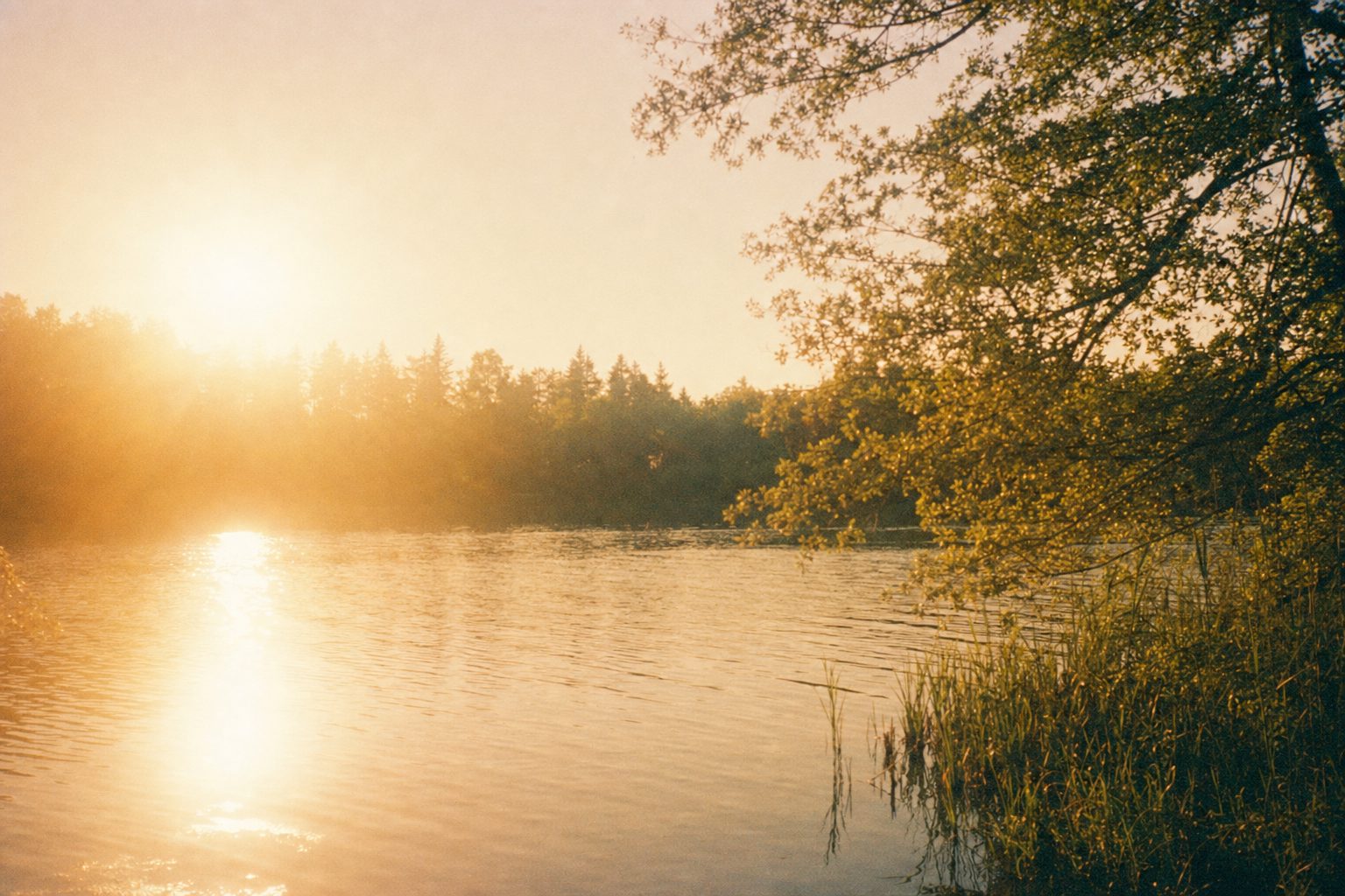 A calm lake at golden hour with soft hazy summer light